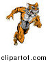 Vector Illustration of a Fierce Muscular Running Tiger Man Mascot by AtStockIllustration
