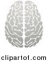 Vector Illustration of a Gradient Grayscale Human Brain by AtStockIllustration