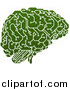 Vector Illustration of a Green Artificial Intelligence Circuit Board Brain by AtStockIllustration