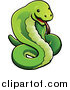 Vector Illustration of a Green Cobra Snake by AtStockIllustration