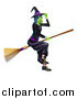 Vector Illustration of a Green Hallowen Witch Tipping Her Hat and Flying on a Broom by AtStockIllustration