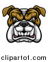 Vector Illustration of a Growling Aggressive Bulldog Mascot Face by AtStockIllustration