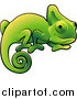 Vector Illustration of a Happy Green Chameleon Lizard with a Curled Tail Clipart Illustration Image by AtStockIllustration