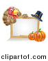 Vector Illustration of a Happy Thanksgiving Turkey Bird Giving a Thumb up over a Pumpkin, Blank White Board Sign and Pilgrim Hat by AtStockIllustration