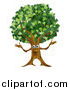 Vector Illustration of a Happy Tree Mascot by AtStockIllustration