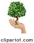 Vector Illustration of a Human Hand Holding a Lush Green Tree by AtStockIllustration