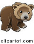 Vector Illustration of a Kodiak Bear (Ursus Arctos Middendorffi), Brown Bear (Ursus Arctos), or Grizzly Bear (Ursus Arctos Horribilis) Cub Looking Outwards by AtStockIllustration