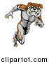 Vector Illustration of a Muscular Aggressive Bulldog Mascot Running Upright by AtStockIllustration