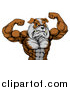 Vector Illustration of a Muscular Bulldog Man Mascot Flexing, from the Waist up by AtStockIllustration