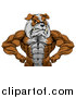 Vector Illustration of a Muscular Tough Bulldog Man Mascot Flexing, from the Waist up by AtStockIllustration