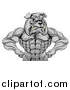 Vector Illustration of a Muscular Tough Gray Bulldog Man Mascot Flexing, from the Waist up by AtStockIllustration