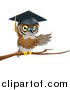 Vector Illustration of a Perched Professor Owl Presenting with His Wings from a Tree Branch by AtStockIllustration