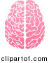 Vector Illustration of a Pink Half Human, Half Artificial Intelligence Circuit Board Brain by AtStockIllustration