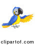 Vector Illustration of a Presenting Blue and Yellow Macaw Parrot by AtStockIllustration