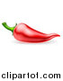 Vector Illustration of a Red Chili Pepper by AtStockIllustration