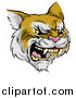 Vector Illustration of a Roaring Aggressive Bobcat Mascot Head by AtStockIllustration