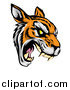 Vector Illustration of a Roaring Aggressive Tiger Mascot Head by AtStockIllustration