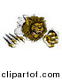 Vector Illustration of a Roaring Lion Mascot Shredding Through a Wall by AtStockIllustration