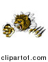 Vector Illustration of a Roaring Lion Mascot Slashing Through a Wall by AtStockIllustration