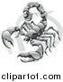 Vector Illustration of a Scorpio the Scorpion with the Zodiac Symbol by AtStockIllustration