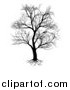 Vector Illustration of a Silhouetted Mature Bare Tree and Roots by AtStockIllustration