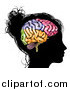 Vector Illustration of a Silhouetted Woman's Head with a Visual Brain by AtStockIllustration