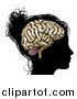 Vector Illustration of a Silhouetted Woman's or Girl's Head with a Visible Brain by AtStockIllustration