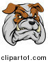 Vector Illustration of a Snarling Aggressive Bulldog Mascot Head by AtStockIllustration