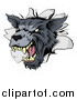 Vector Illustration of a Snarling Gray Wolf Mascot Head Breaking Through a Wall by AtStockIllustration