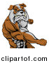 Vector Illustration of a Snarling Muscular Bulldog Man Punching by AtStockIllustration