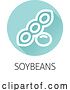 Vector Illustration of a Soybean Soy Bean Food Allergen Icon Concept by AtStockIllustration