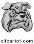Vector Illustration of a Sports Bulldog Mascot Face by AtStockIllustration