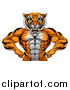 Vector Illustration of a Tough Bodybuilder Tiger Man Flexing His Big Muscles, from the Waist up by AtStockIllustration