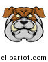 Vector Illustration of a Tough Bulldog Face by AtStockIllustration