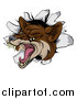 Vector Illustration of a Vicious Coyote Mascot Head Breaking Through a Wall by AtStockIllustration