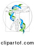 Vector Illustration of a Vitruvian Man with a Green and Blue Double Helix by AtStockIllustration