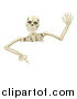 Vector Illustration of a Waving Halloween Skeleton Pointing down at a Sign by AtStockIllustration