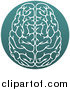 Vector Illustration of a White Human Brain in a Circle by AtStockIllustration