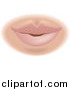 Vector Illustration of a Woman's Pink Lips and Mouth by AtStockIllustration