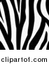 Vector Illustration of a Zebra Animal Print Background with a Black and White Stripes Pattern by AtStockIllustration