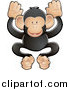 Vector Illustration of an Adorable Black and Tan Chimpanzee Monkey Being Friendly and Playful by AtStockIllustration