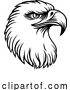 Vector Illustration of Bald Eagle Hawk Falcon Face Head Mascot Bird by AtStockIllustration