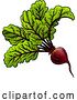 Vector Illustration of Beet Beetroot Vegetable Woodcut Illustration by AtStockIllustration