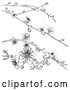 Vector Illustration of Black and White Background of Branches with Spring Blossoms by AtStockIllustration