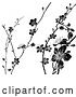 Vector Illustration of Black and White Cherry Blossom Branches Background by AtStockIllustration