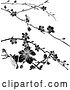 Vector Illustration of Black and White Cherry Blossom Branches Background by AtStockIllustration