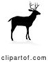 Vector Illustration of Black Silhouetted Deer Stag Buck, with a Shadow on a White Background by AtStockIllustration