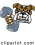 Vector Illustration of Bulldog Dog Weight Lifting Dumbbell Gym Mascot by AtStockIllustration
