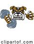 Vector Illustration of Bulldog Dog Weight Lifting Dumbbell Gym Mascot by AtStockIllustration