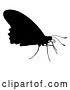 Vector Illustration of Butterfly Insect Animal Silhouette by AtStockIllustration